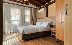 Palmera Art House